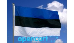 Brightside Estonian Language Pack