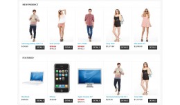 Themes viplusdotnet