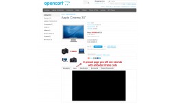 Product video on Iframe using vqmod