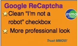 Google Recaptcha