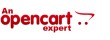 An Opencart Expert