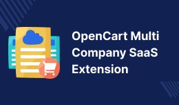 Multi Company SaaS Extension - Build Website Lik..
